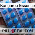 Kangaroo Essence viagra2